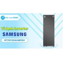 Tủ lạnh Samsung Inverter 305 lít RT31CG5424B1SV
