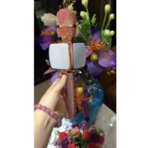 mic karaoke sd16 giá sỉ
