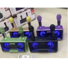 LOA KARAOKE SD301S (KÈM 2 MIC KHÔNG DÂY)