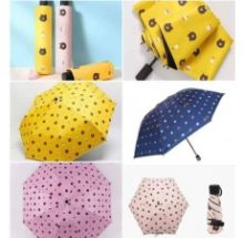 Dù gấp gọn hình gấu