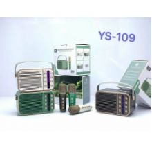 LOA KARAOKE YS 109 (1 mic không dây) 