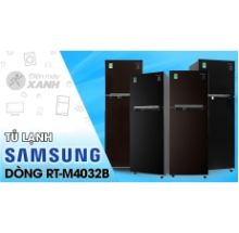 Tủ lạnh Samsung Inverter 236 lít RT22M4032BY-SV
