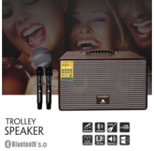 LOA XÁCH TAY DAICHIPRO DCP U288 kèm 2 mic không dây