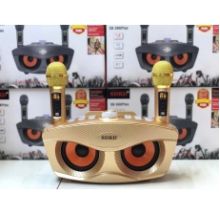 LOA KARAOKE SD306 PLUS KÈM 2 micro không dây có màn hình LCD cao cấp