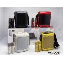 LOA KARAOKE YS 220 (2 mic không dây)