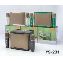 LOA KARAOKE YS 230 231 (2 mic không dây) (BH 06TH)