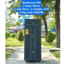 Loa Kéo Nanomax Pro-12D Bass Đôi 30cm 2000w