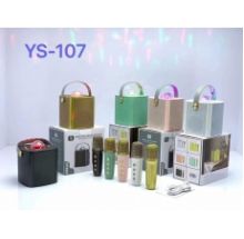 Loa karaoke YS 107