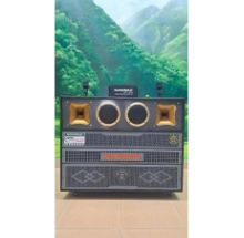 Loa Kéo Bình & Điện Nanomax Pro 215 Bass Đôi 40cm 2200w