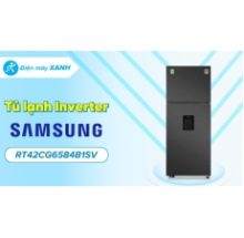 Tủ lạnh Samsung Inverter 406 lít RT42CG6584B1SV